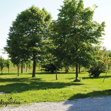 Ca'Magnolia Villa Тревизо Екстериор снимка